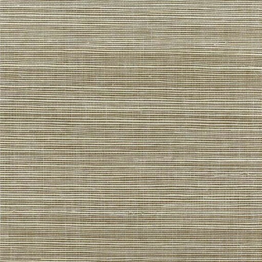 Kanoko Grasscloth 