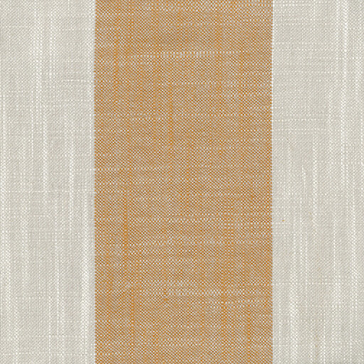 Pisa Largo 