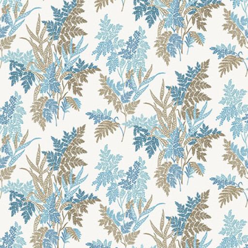 Fern Craze 