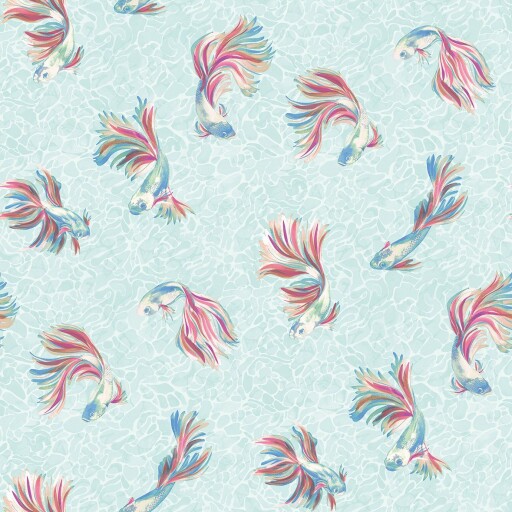 Aquaria&nbsp;