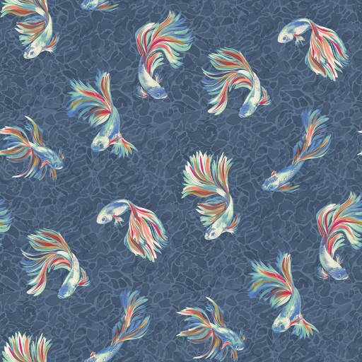 Aquaria&nbsp;