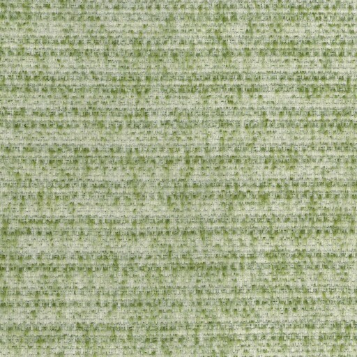 Mouflon Plain 