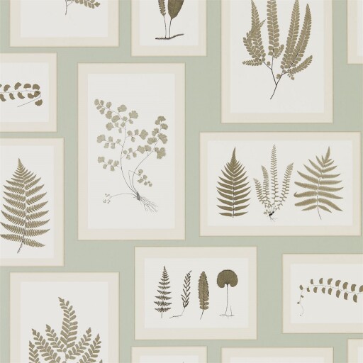 Fern Gallery 