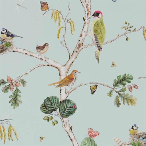 Woodland Chorus 