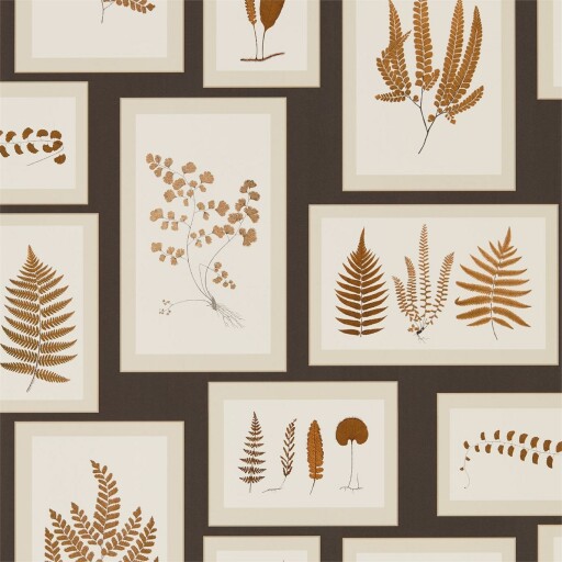 Fern Gallery 
