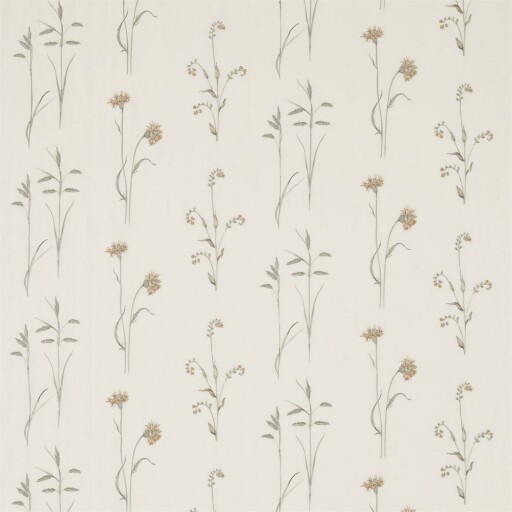 Meadow Grasses 