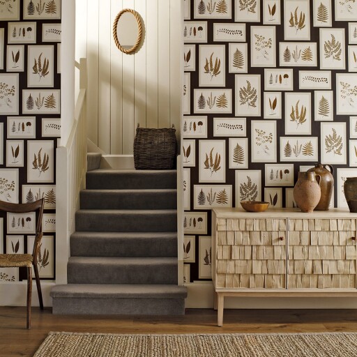 Fern Gallery 