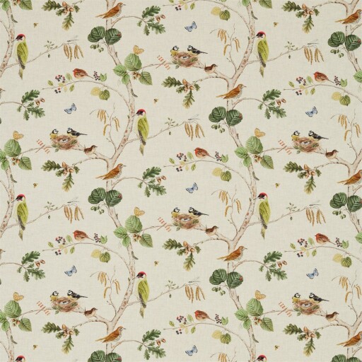 Woodland Chorus 