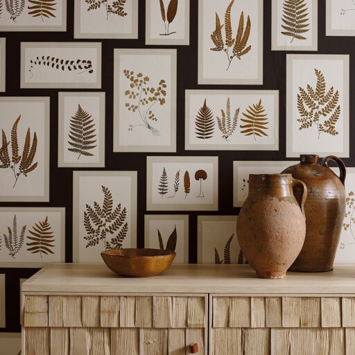 Fern Gallery 