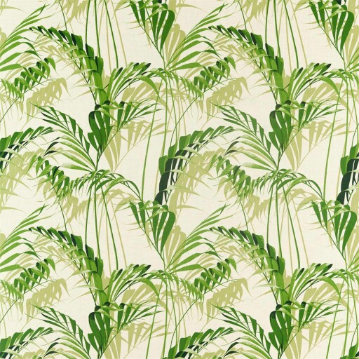 Palm House 