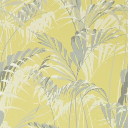 Palm House 
