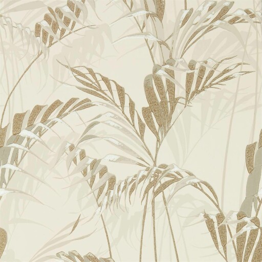 Palm House 