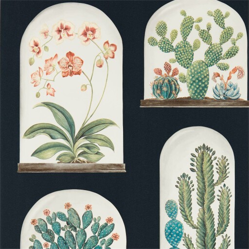Terrariums 