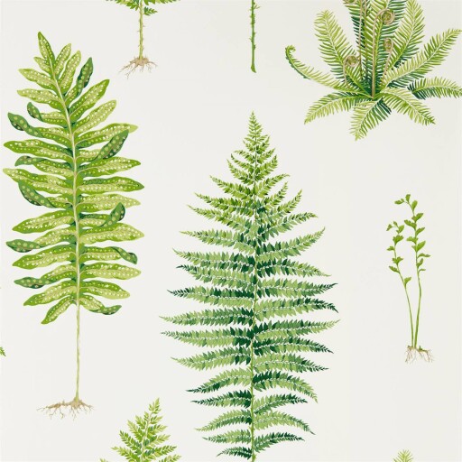 Fernery 