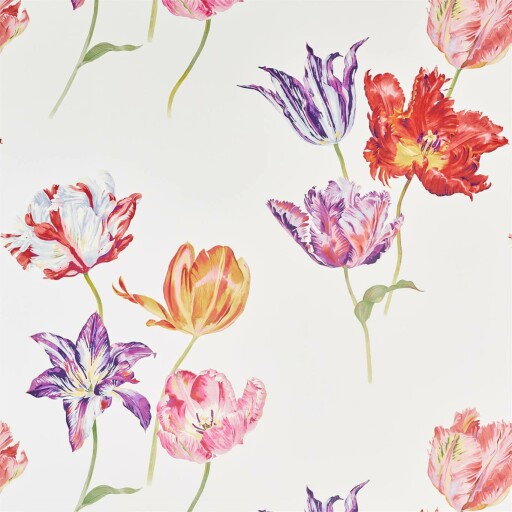 Tulipomania 