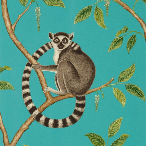 Ringtailed Lemur 