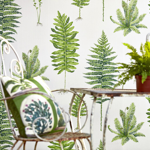 Fernery 