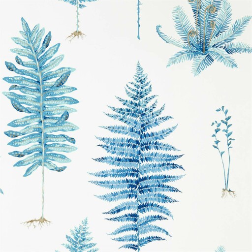 Fernery 