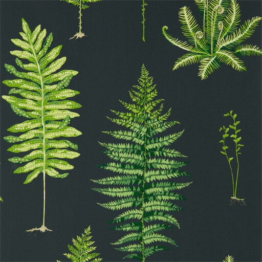 Fernery 