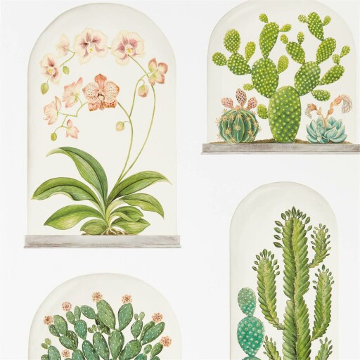 Terrariums 