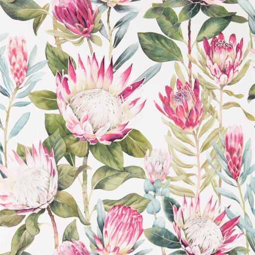 King Protea 