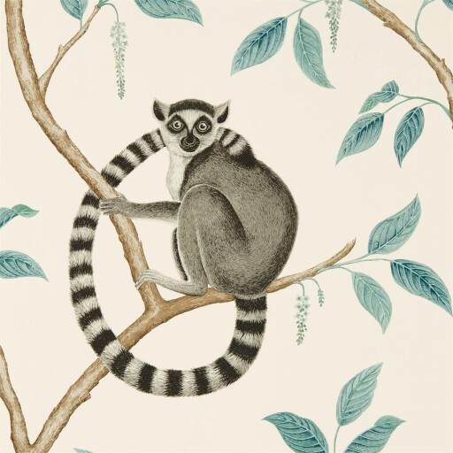 Ringtailed Lemur 
