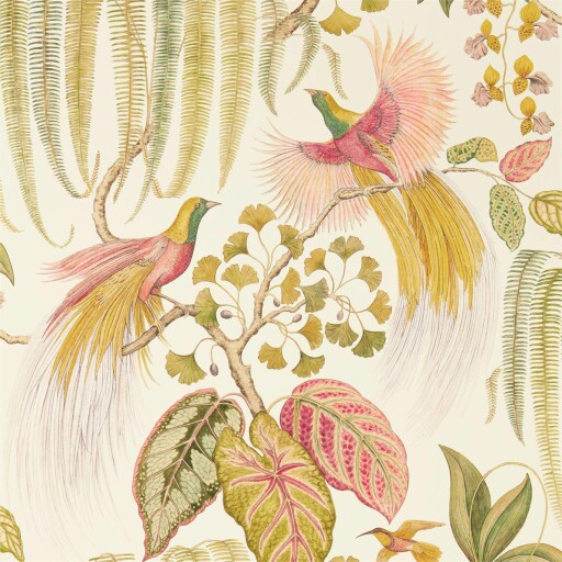 Bird Of Paradise 