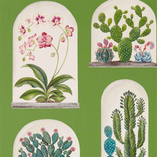 Terrariums 