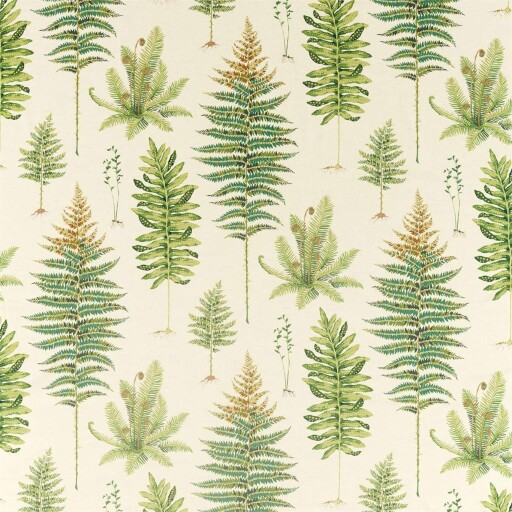 Fernery 