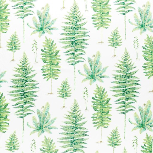 Fernery 