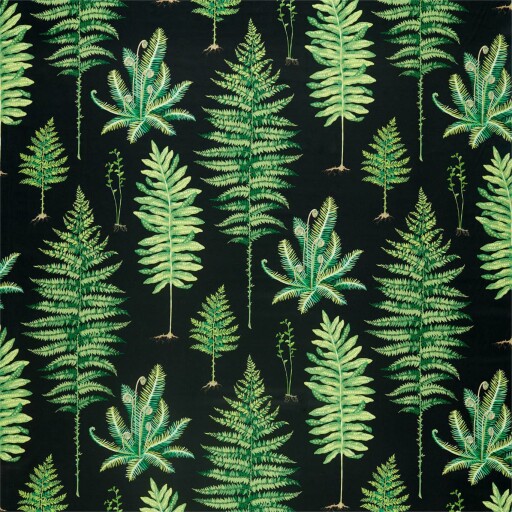 Fernery 