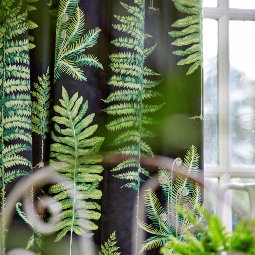 Fernery 