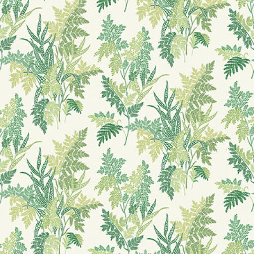 Fern Craze 